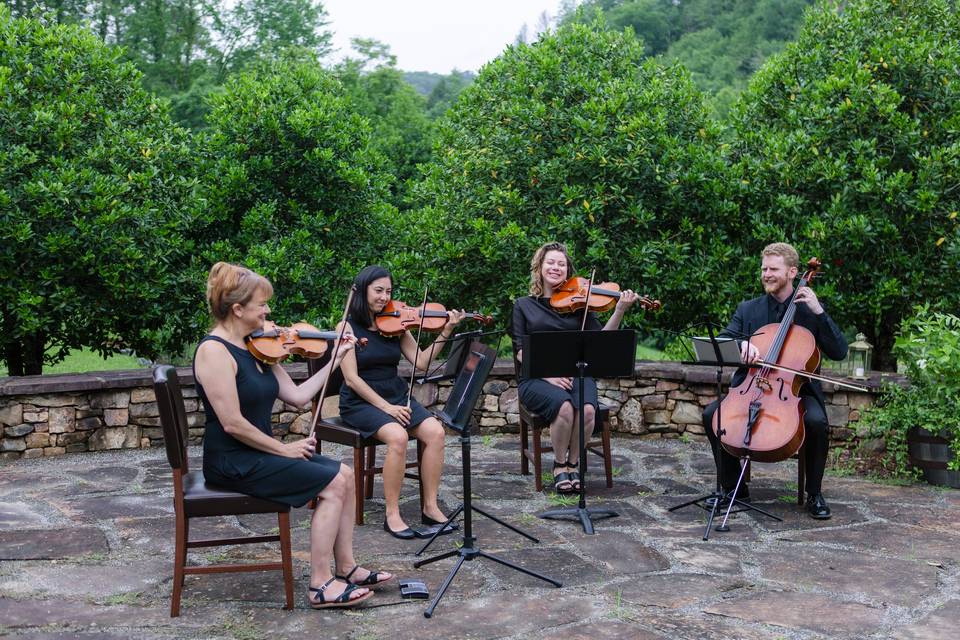 Studio Misha String Quartet