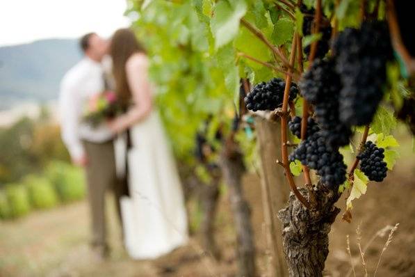 Couple's photo in the vineyard