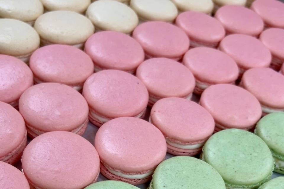 Mini Delights Bake Shoppe