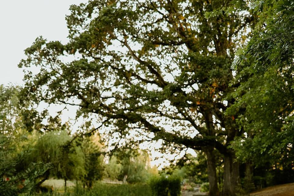 Gardens