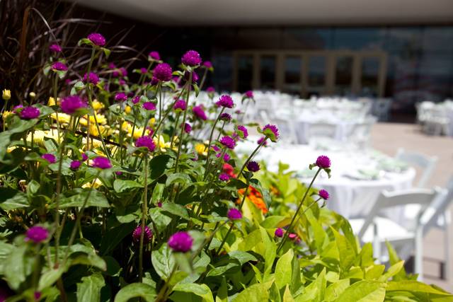 Floral centerpiece