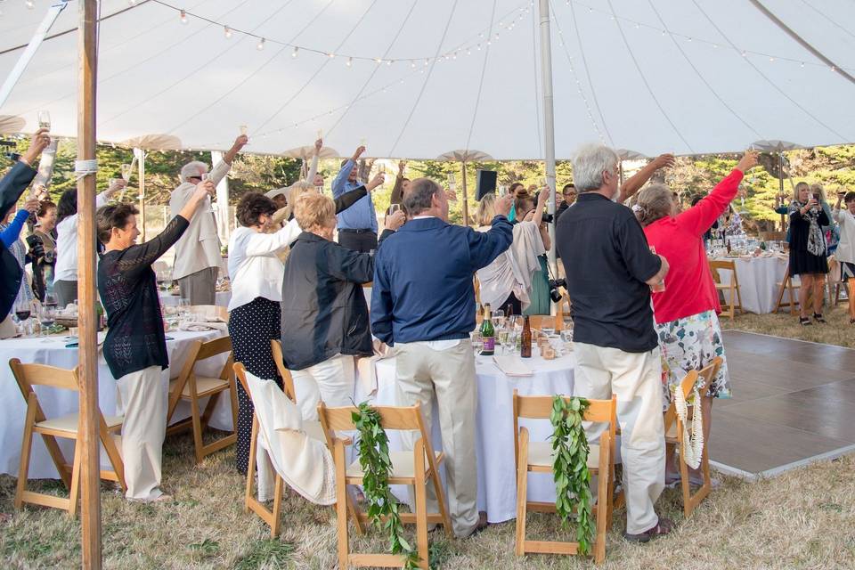 Wedding guests cheers during wedding reception