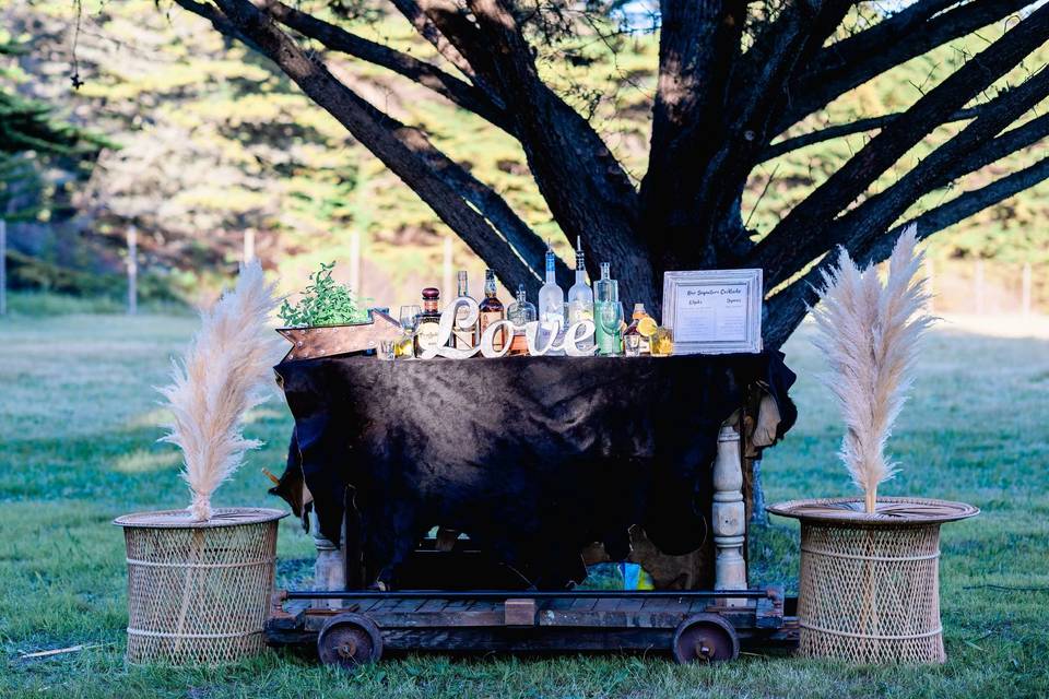 Rustic bar set-up