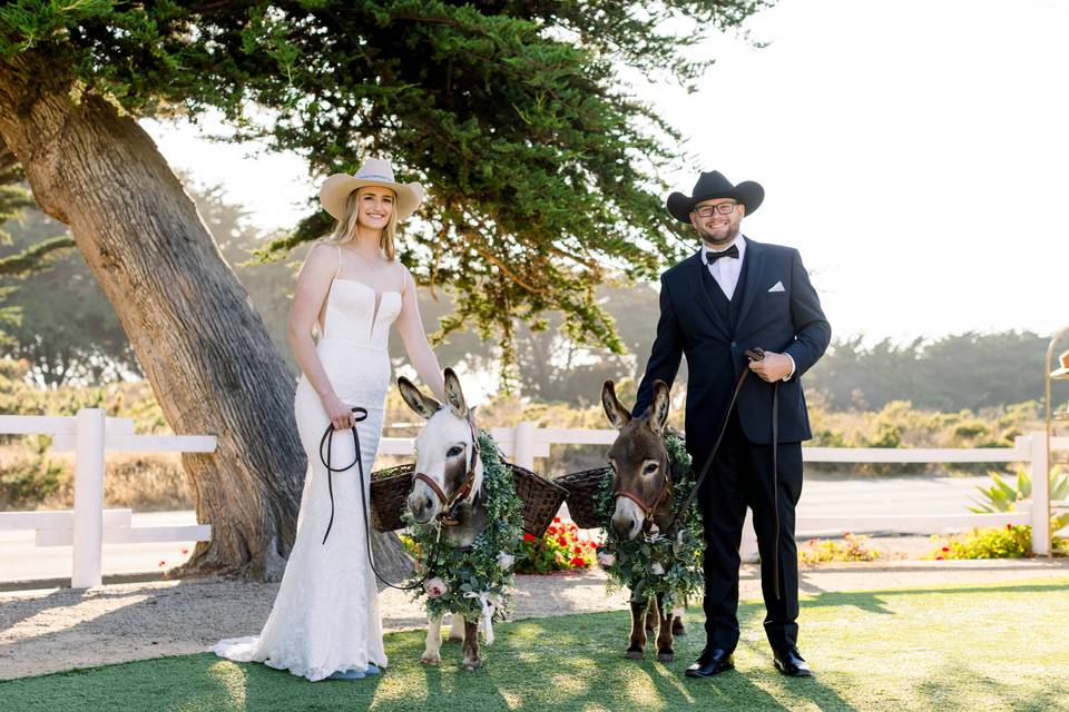 Moonstone Corral