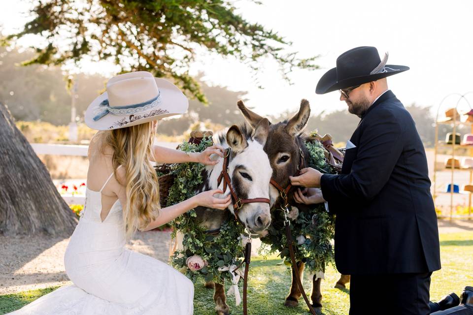 Moonstone Corral