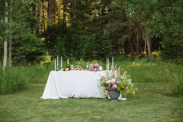 Caiti Rose Photograph