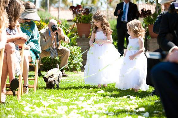 White Glove Weddings