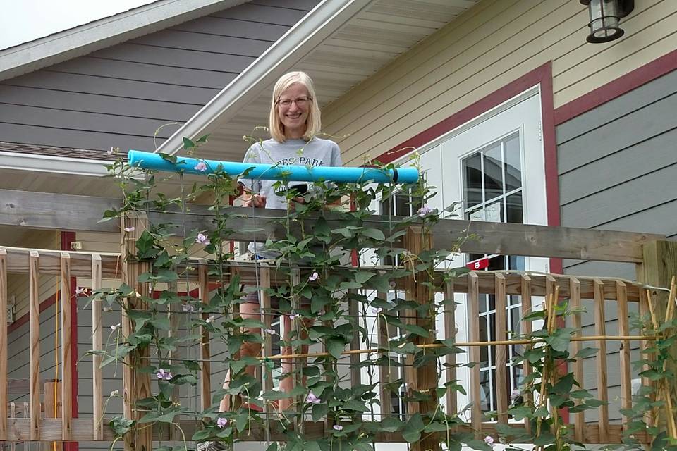 Garden growing up deck