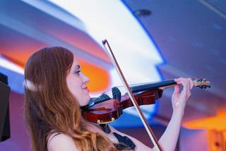 Amanda - Violinz