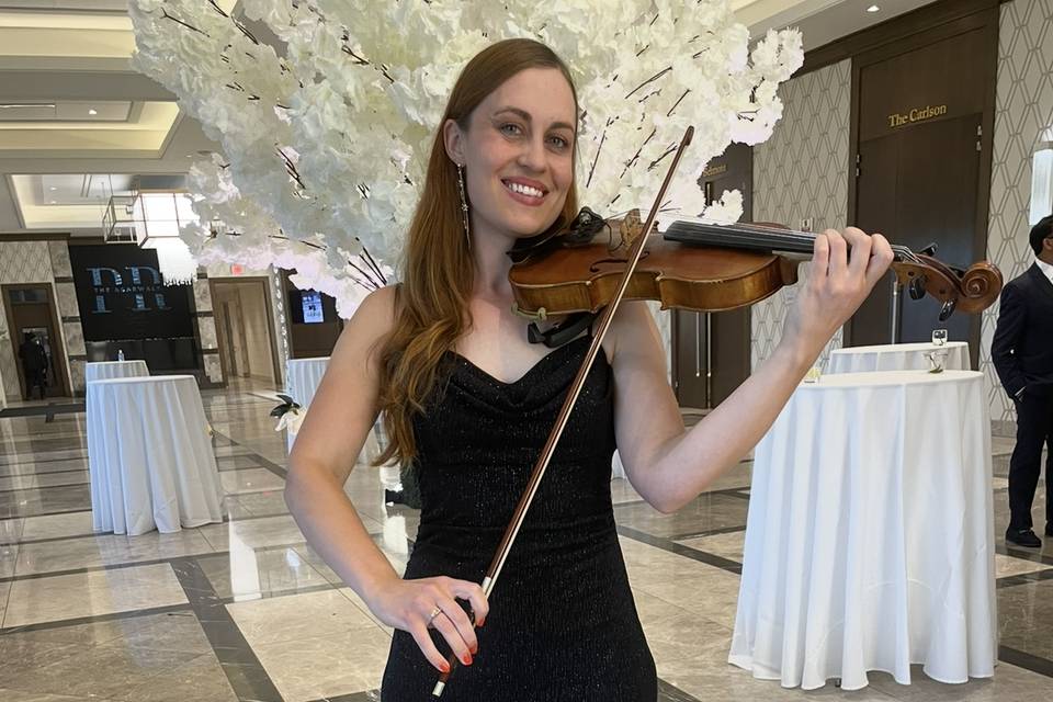 Amanda - Violinz