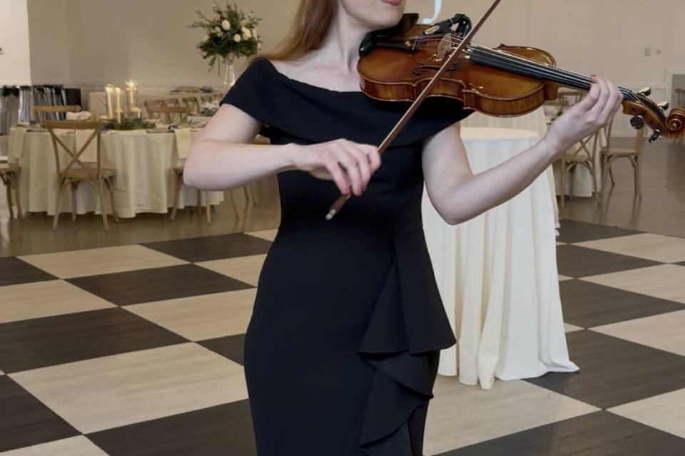 Amanda - Violinz