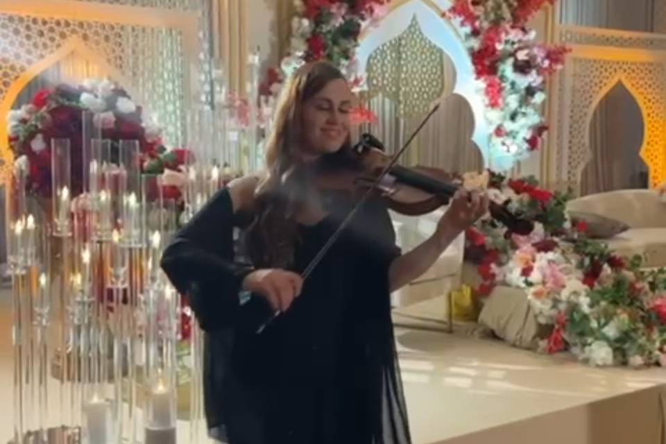 Amanda - Violinz