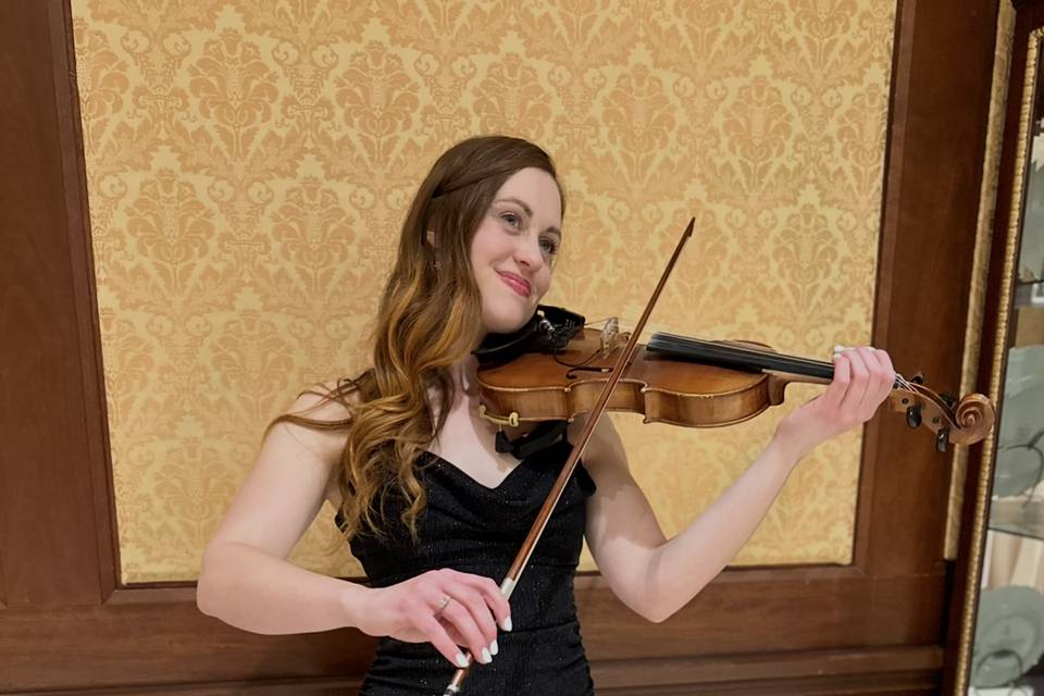 Amanda - Violinz