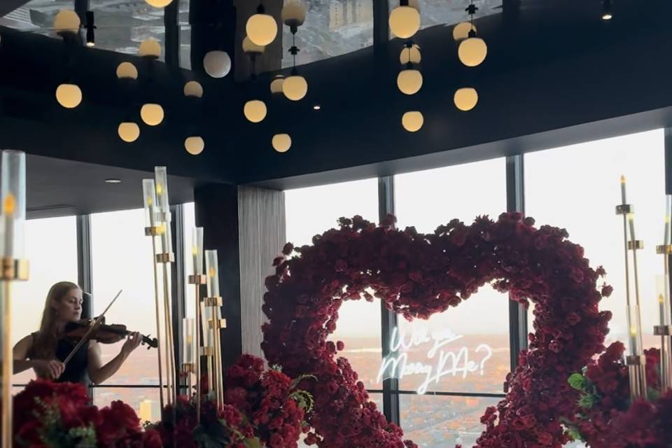 Amanda - Violinz