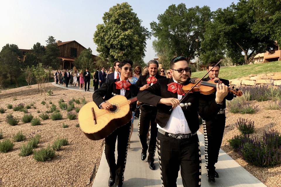 Mariachi