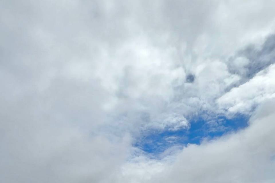 IMG_9391.jpeg