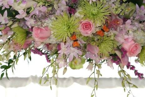 a satin covered pavilion was the setting for this beautiful summer wedding, detail of the front design