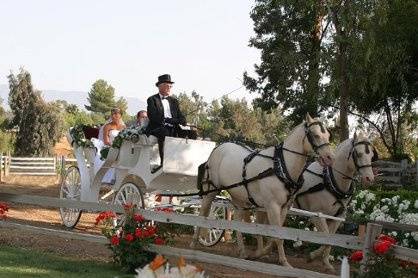 Fairytale Carriage carries bride and dad