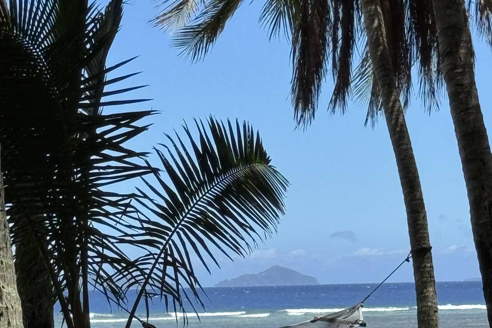 IMG_3254.jpeg