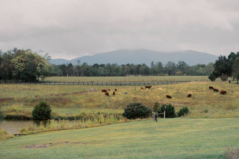 Tiffin Farm