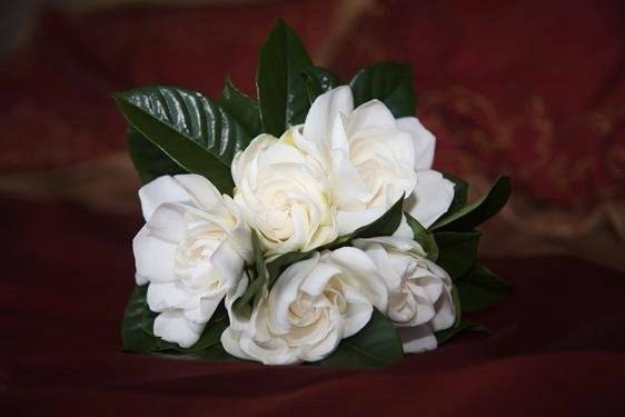 hawaii gardenia bouquet