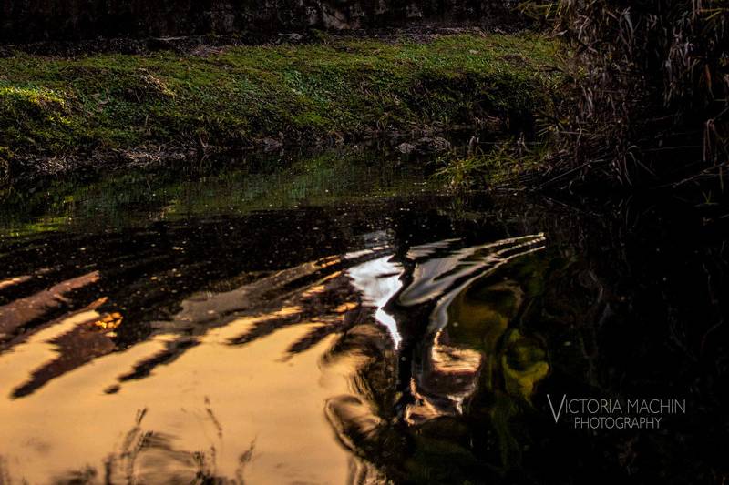 Victoria Machin Photography