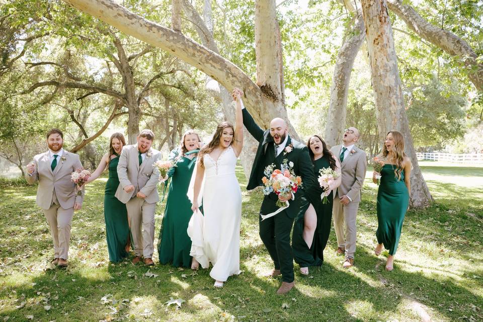 Bridal party on lawn
