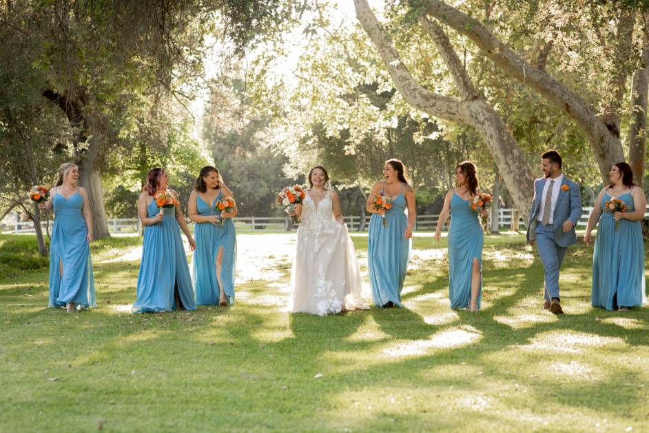 Bridal party in field