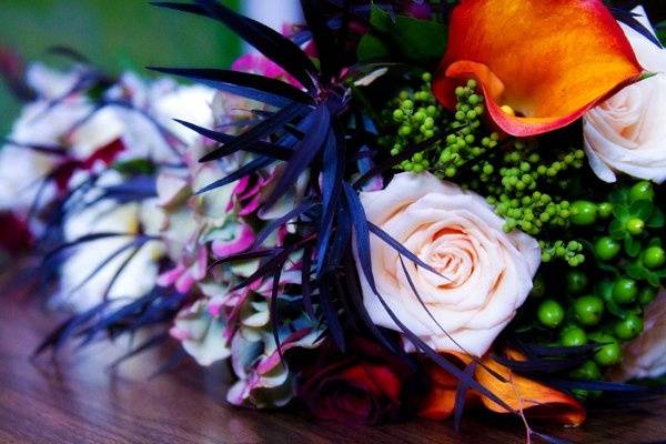 Studio IV Photography