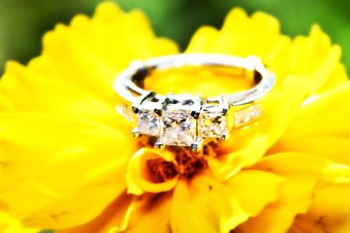 Studio IV Photography