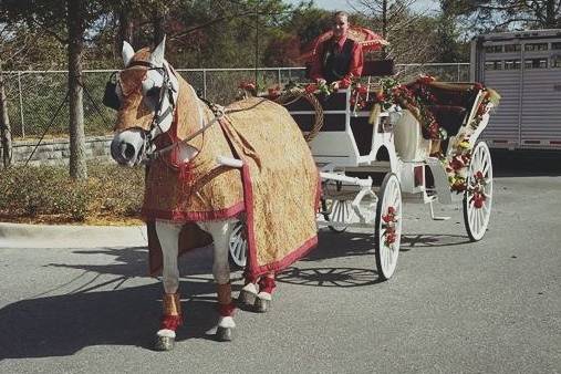 Misty Blue Acres Carriage Company