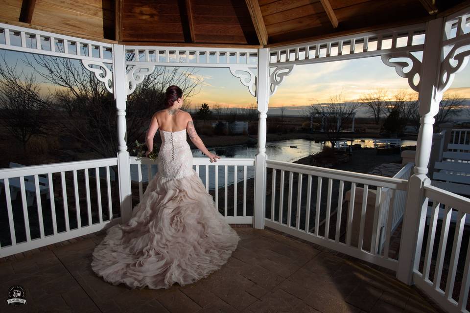 Bridal portrait