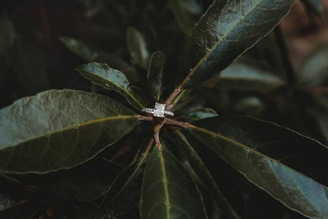 Engagement session