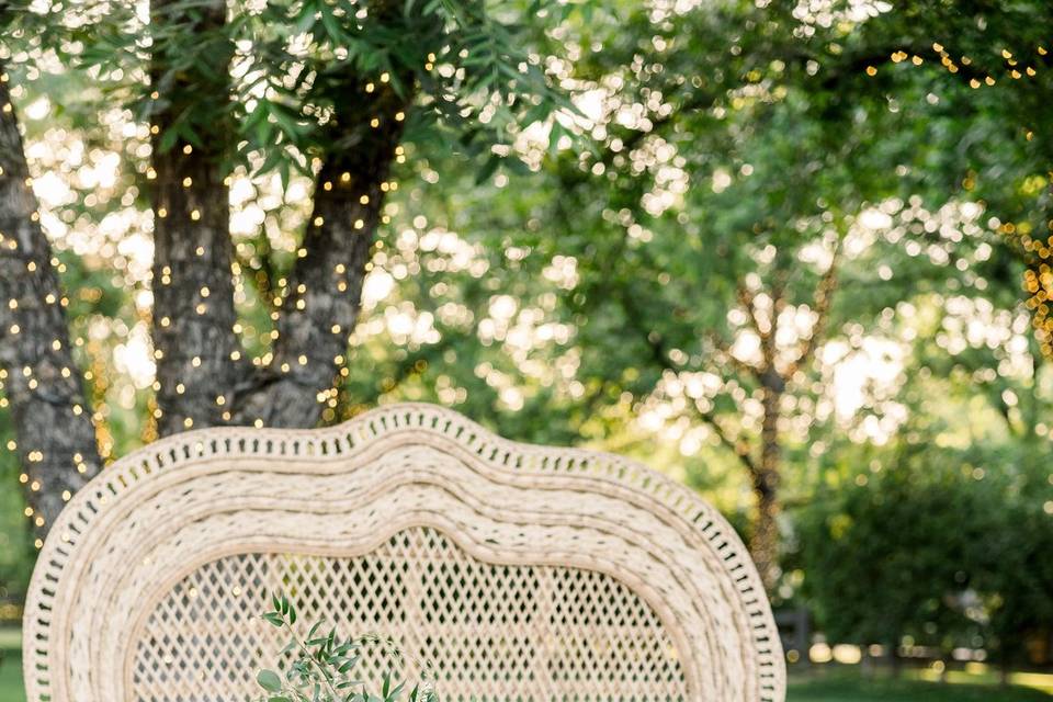 Peacock Chairs