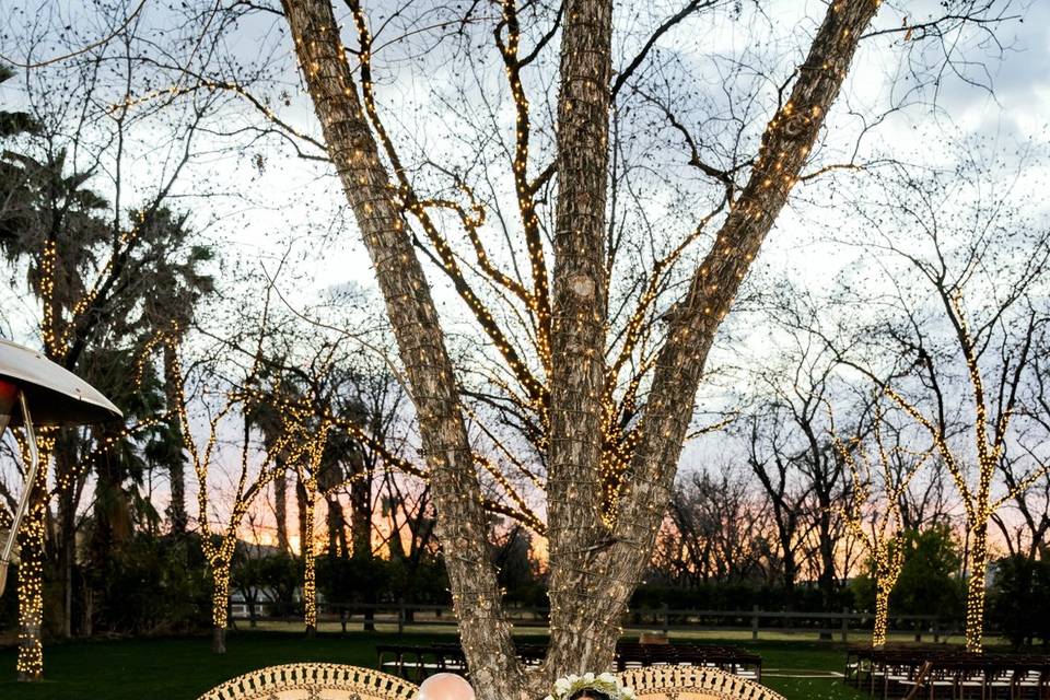 Peacock Chairs