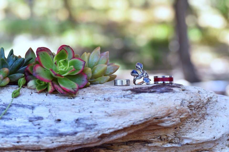 Wedding rings and plants