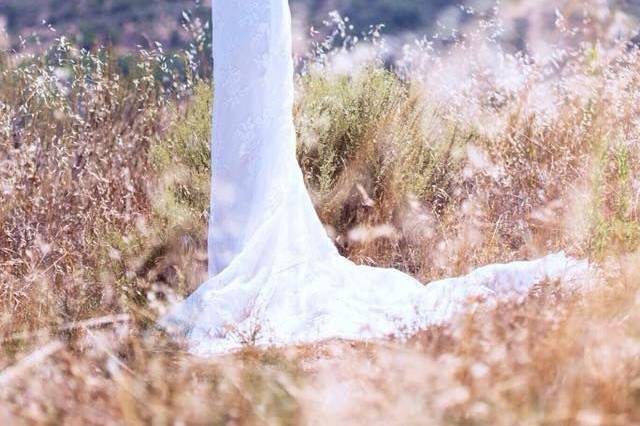 Bride in long wedding dress