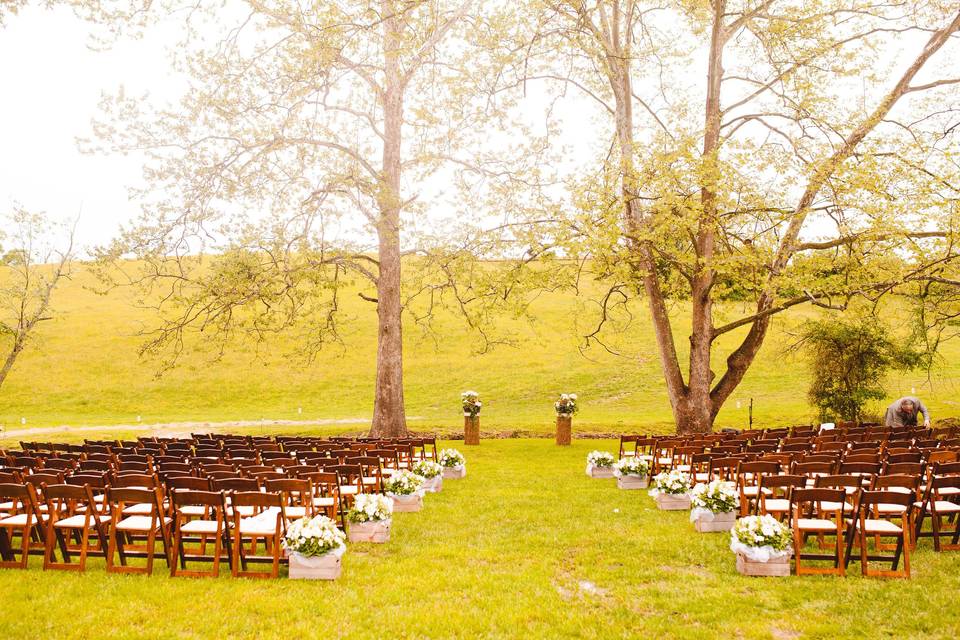 Backyard Wedding, Dayton, MD