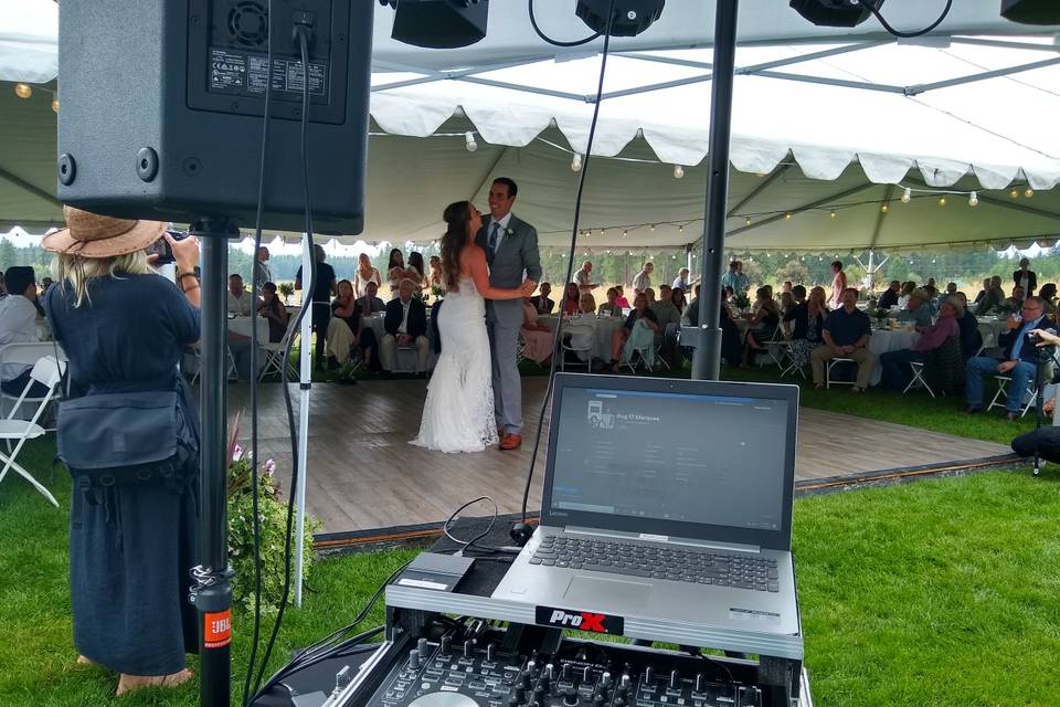 Pro DJ Entertainment Wedding