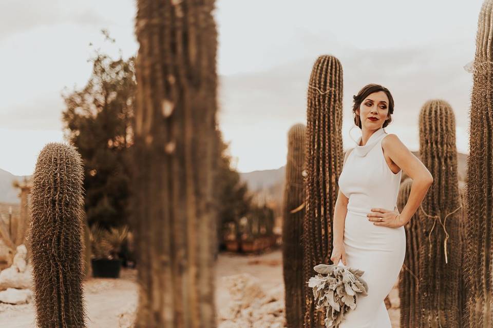 Bride in cactus