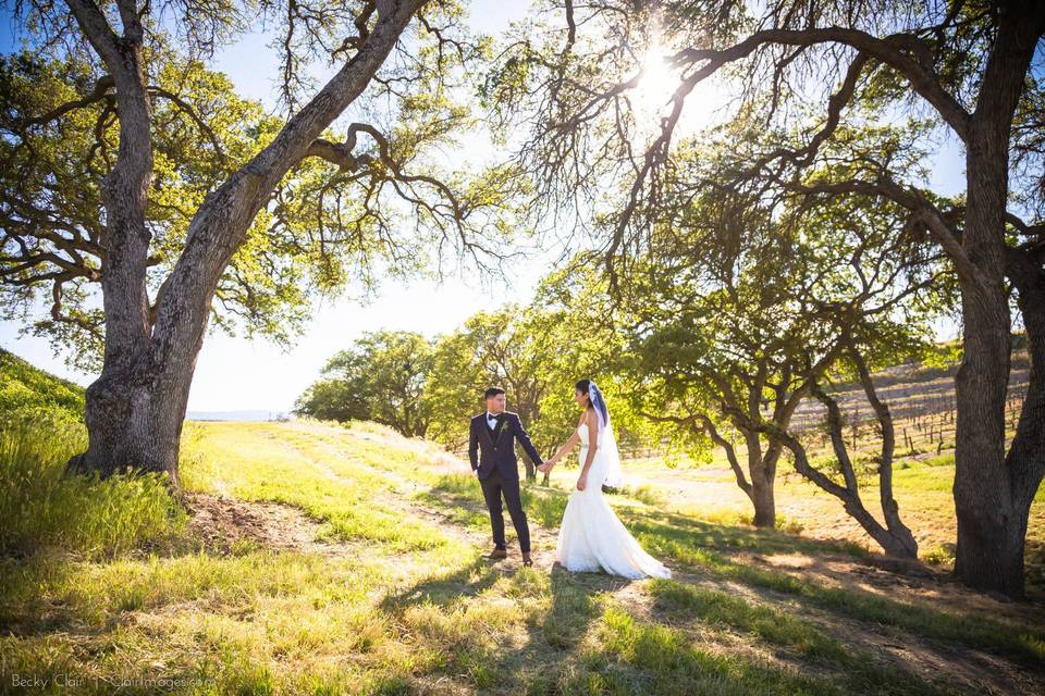 Wedding ceremony area