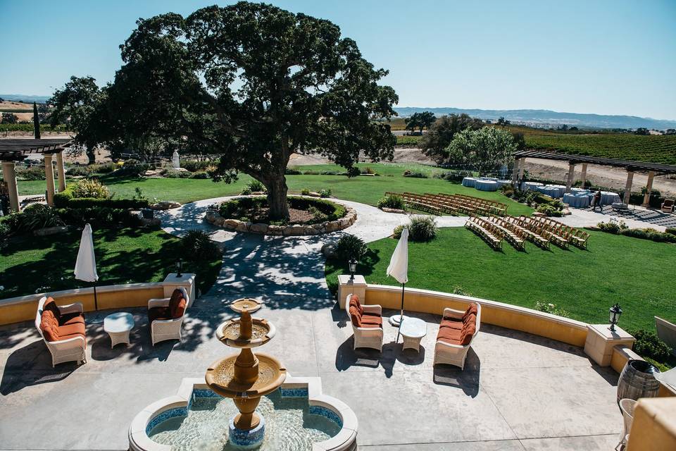 Ceremony Facing the Tree