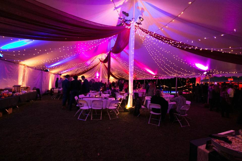 Tent Interior Light with Drape