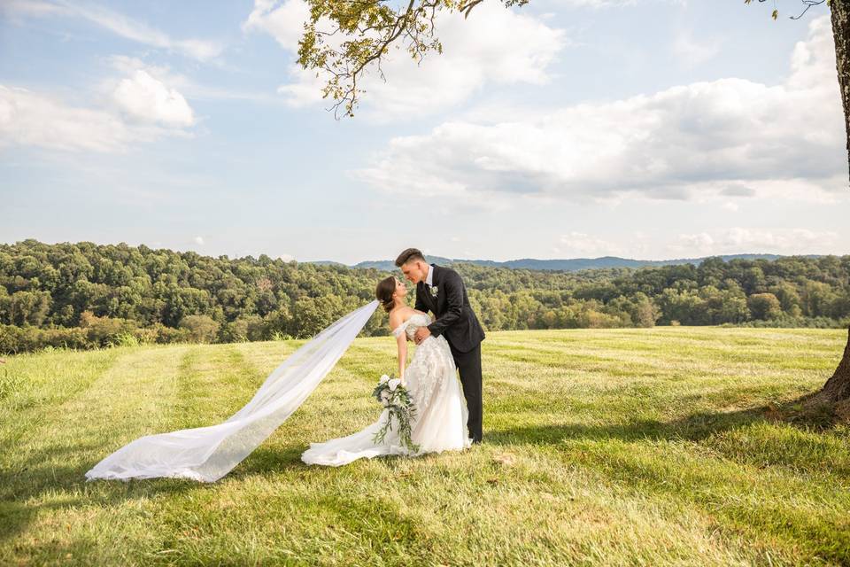 Blue Otter Weddings