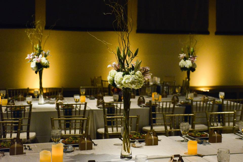 Dining area setup