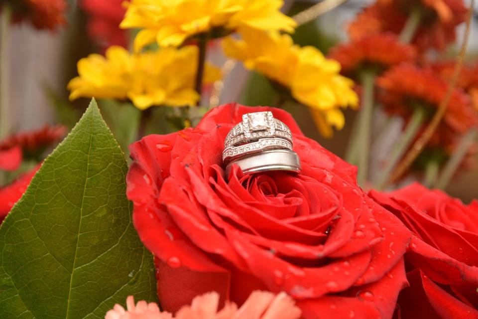 Meyer and Smail Photography