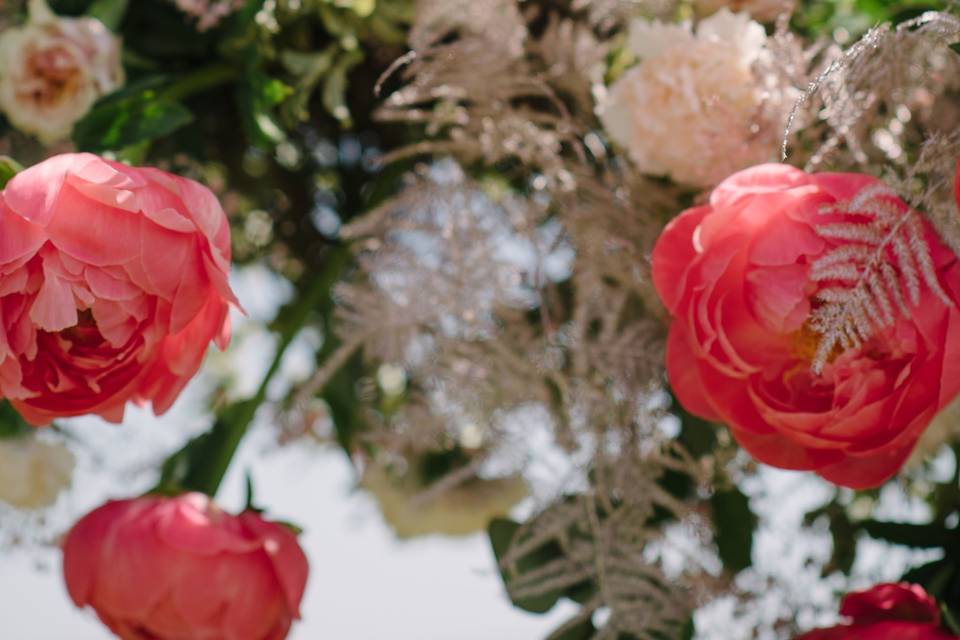 Wedding in Tuscany