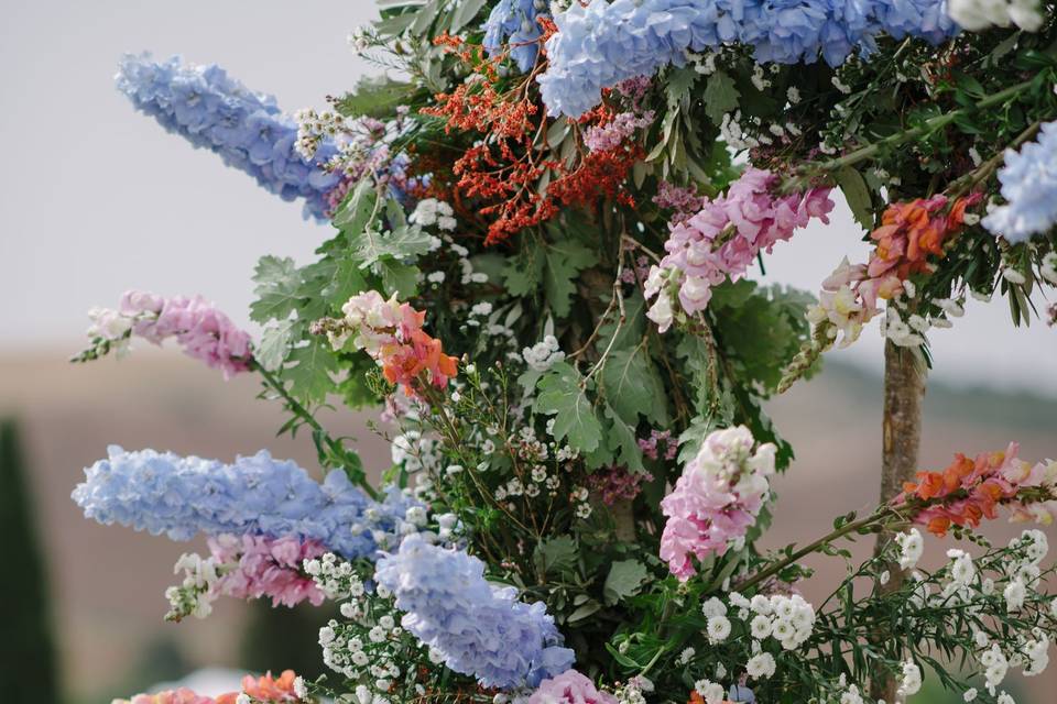 Wedding in Tuscany