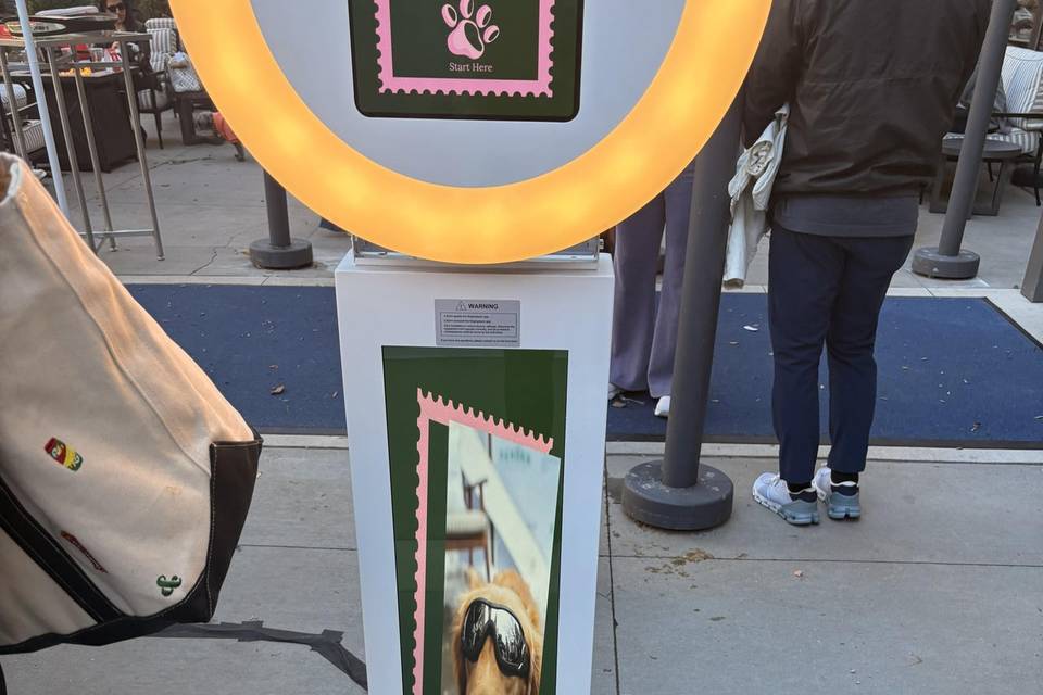 Photo Booth For Dog Meet Up