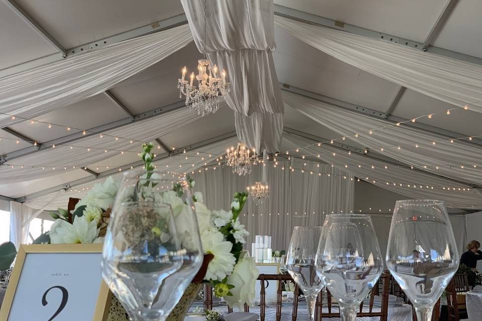 Ceiling draping and lights